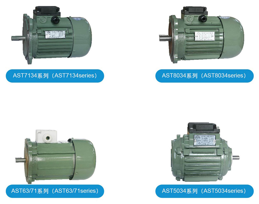 AST系列分马力电动机